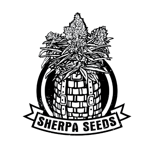 Sherpa Seeds